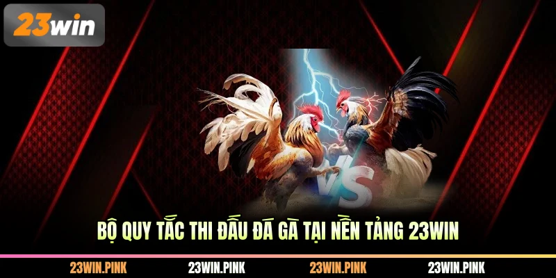 Bộ quy tắc thi đấu đá gà tại nền tảng 23WIN