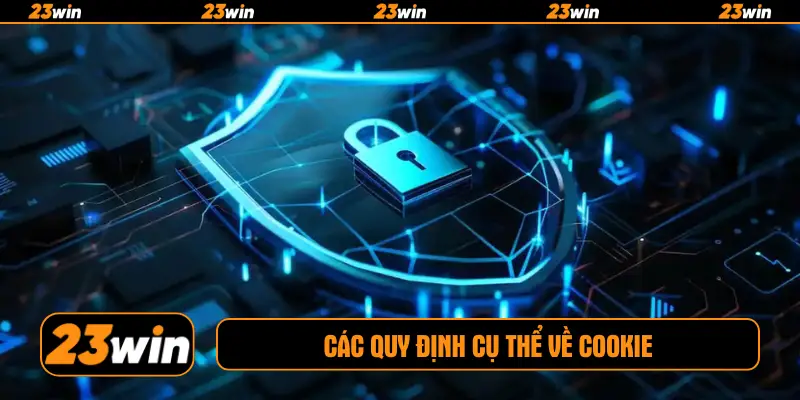 Các quy định cụ thể về cookie