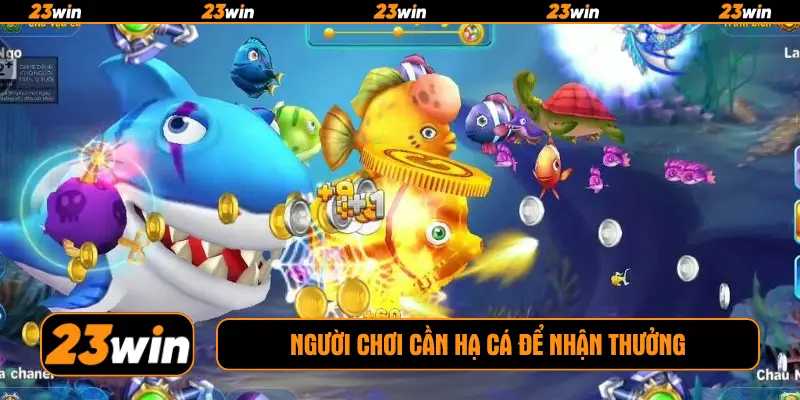 Người chơi cần hạ cá để nhận thưởng