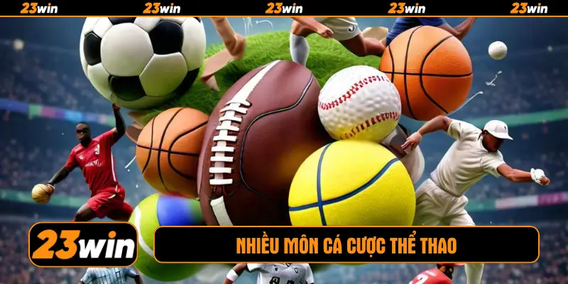 Nhiều môn cá cược thể thao